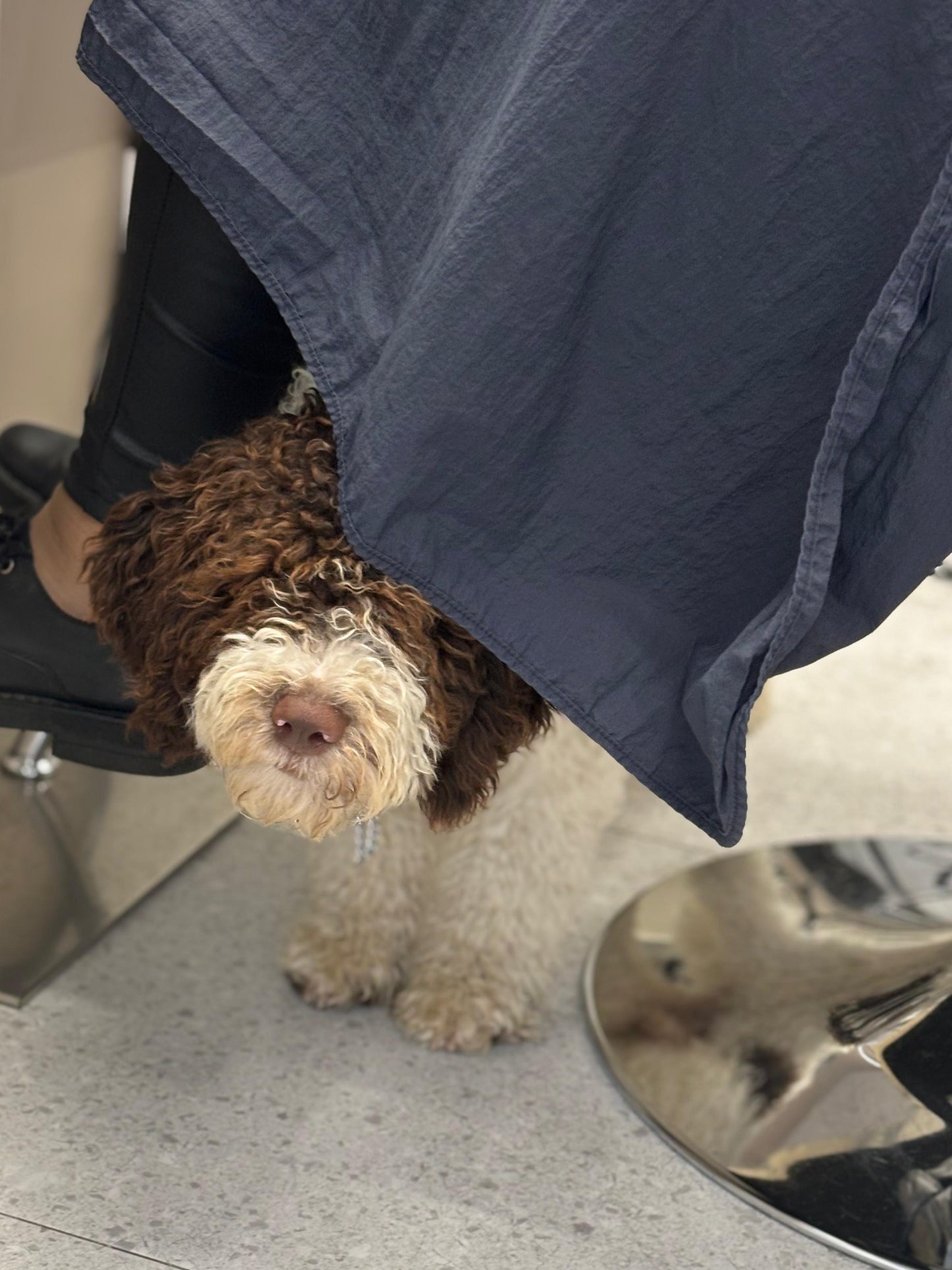 Professional By Fama WondHer - PET,s Amore шампунь для собак